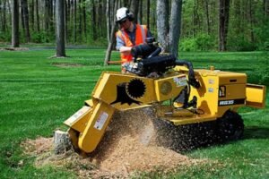 stump grinding