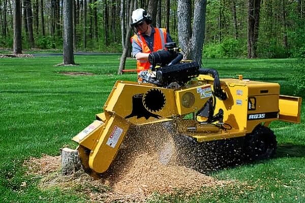 stump grinding