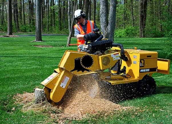 stump grinding
