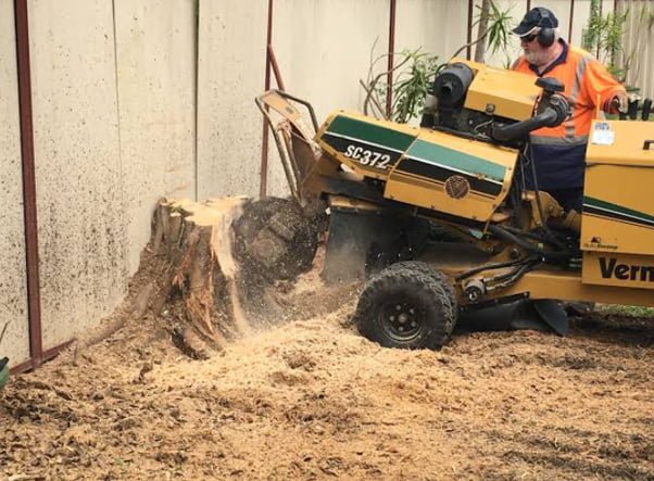 stump grinding gold coast