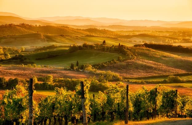 agribusiness valuations