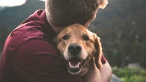 pet grief counselling
