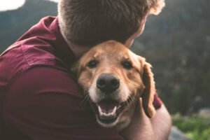 pet grief counselling