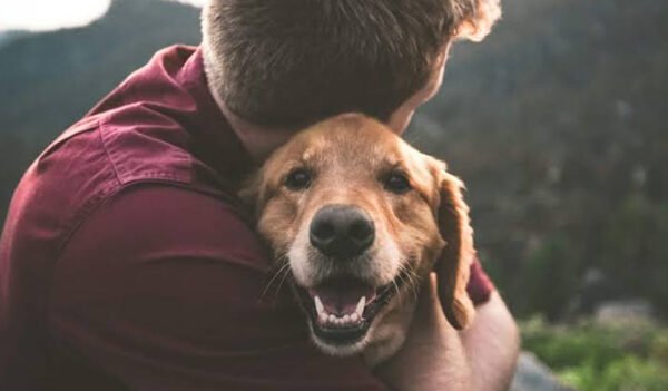 pet grief counselling